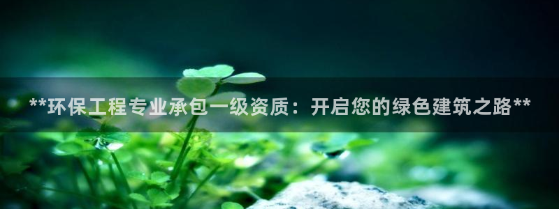 最新彩名堂计划：**环保工程专业承包
