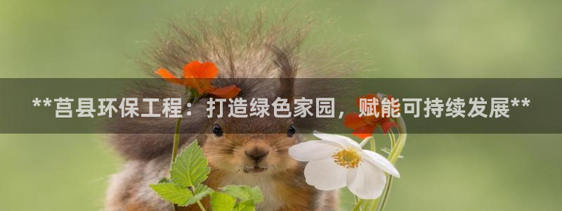 彩名堂好用还是千里马好用一点：**莒县环保工程：打造绿色家园，赋能可持续发展**