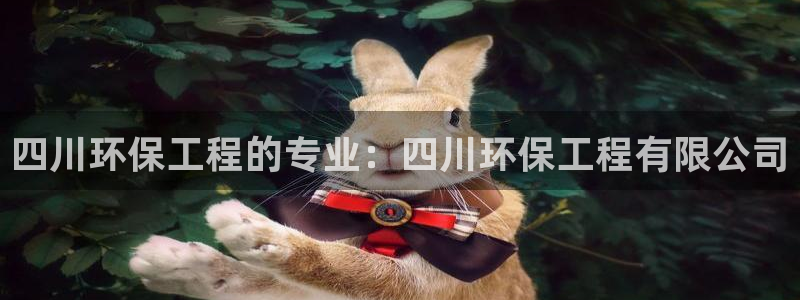 彩名堂免费计划使用方法是什么：四川环