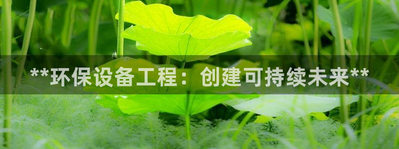 老版彩名堂：**环保设备工程：创建可