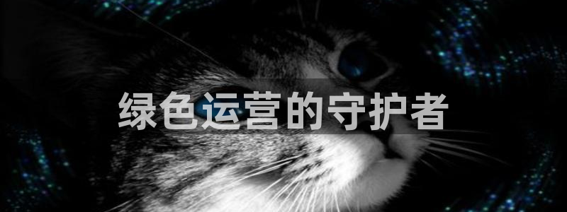 彩名堂v1.0.6：绿色运营的守护者