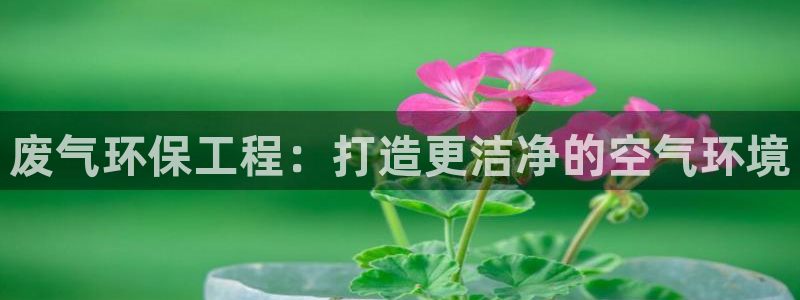 彩名堂预测网站：废气环保工程：打造更