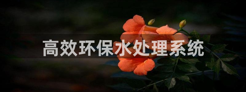 彩名堂免费计划5.0使用方法是什么：