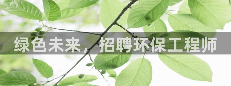彩名堂5.0!：绿色未来，招聘环保工