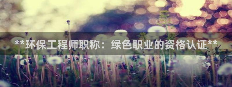 彩名堂官方平台：**环保工程师职称：