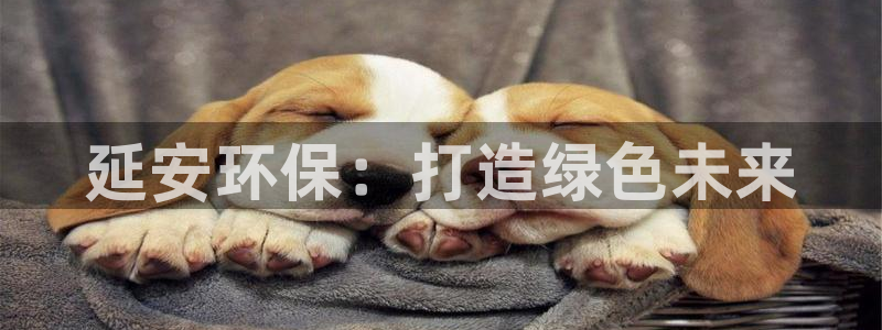 彩名堂双彩网：延安环保：打造绿色未来