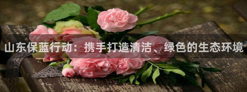 老版本彩名堂计划软件：山东保蓝行动：携手打造清洁、绿色的生态环境