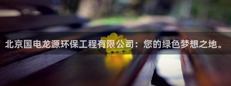 彩名堂网页：北京国电龙源环保工程有限公司：您的绿色梦想之地。