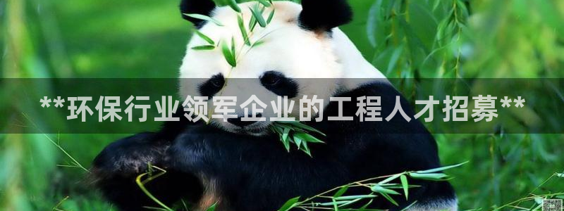 彩名堂计划怎么出的：**环保行业领军企业的工程人才招募**