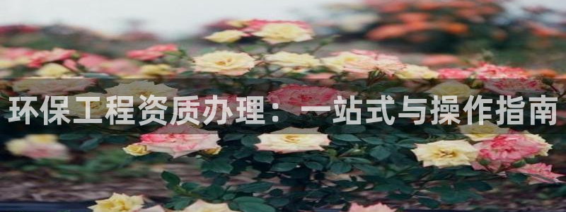 彩名堂为什么打不开：环保工程资质办理：一站式与操作指南