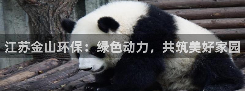 彩名堂二维码：江苏金山环保：绿色动力，共筑美好家园