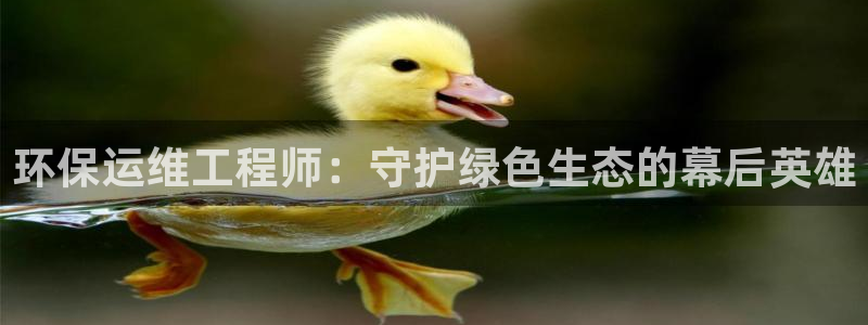 下载苹果手机版彩名堂：环保运维工程师：守护绿色生态的幕后英雄