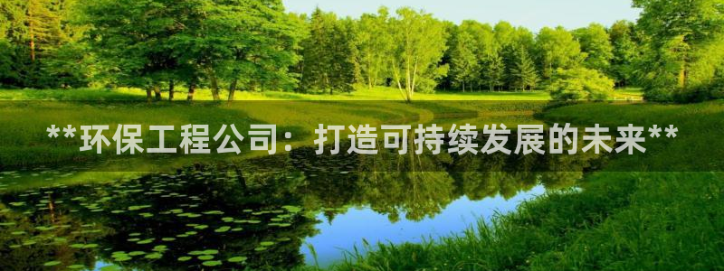 彩名堂预测计划：**环保工程公司：打造可持续发展的未来**
