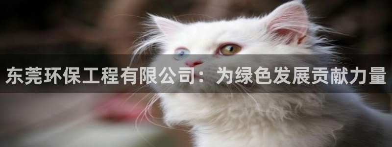 彩名堂APP下载：东莞环保工程有限公