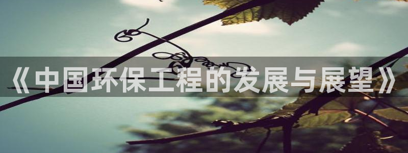 彩名堂计划技巧有哪些：《中国环保工程的发展与展望》