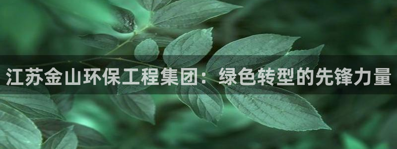 彩名堂客户：江苏金山环保工程集团：绿色转型的先锋力量