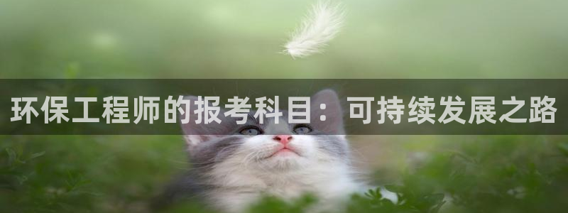 彩名堂4.3：环保工程师的报考科目：可持续发展之路