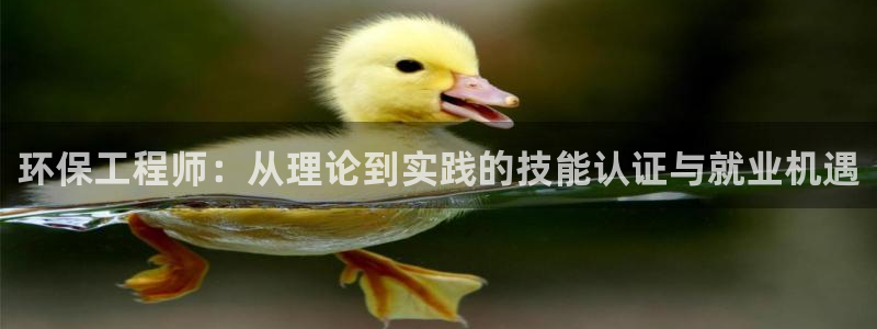 彩名堂为啥不准了乱变：环保工程师：从理论到实践的技能认证与就