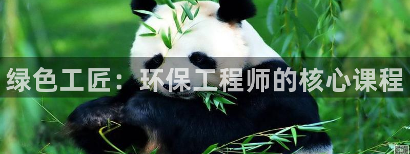 彩名堂怎么选稳定计划产品：绿色工匠：环保工程师的核心课程