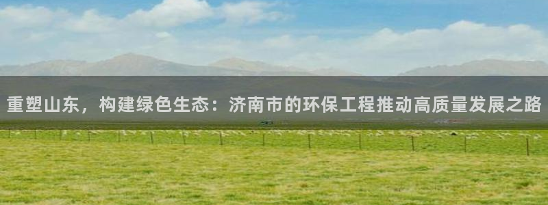 彩名堂加拿大怎么买准确率高：重塑山东