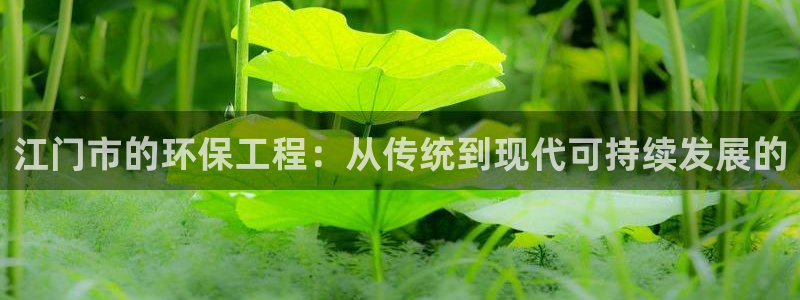彩名堂计划技巧有哪些：江门市的环保工