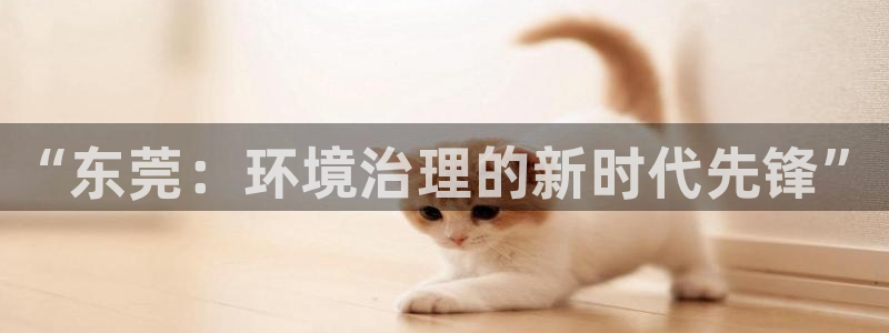 彩名堂免费计划官网怎么进不去了：“东