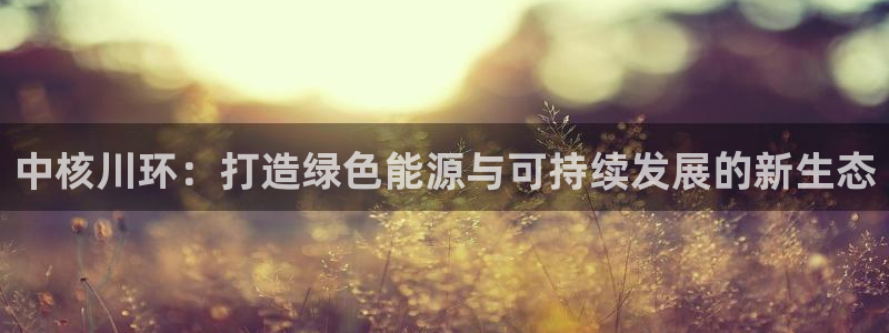 彩名堂官网计划客户端：中核川环：打造