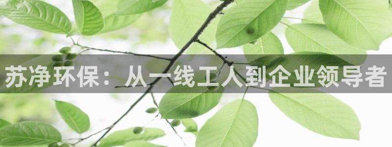 彩名堂官网网页计划：苏净环保：从一线