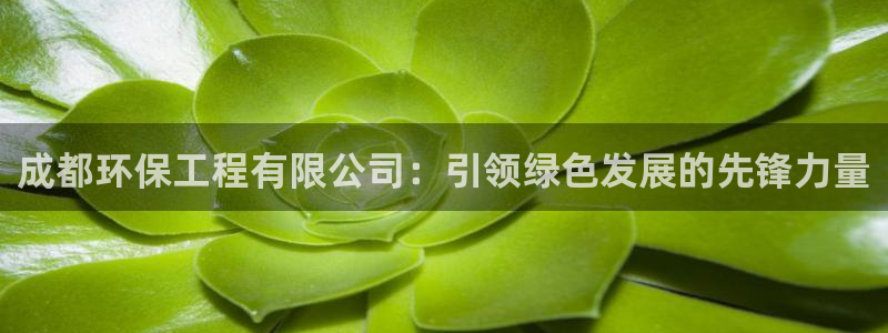 彩名堂首页：成都环保工程有限公司：引领绿色发展的先锋力量