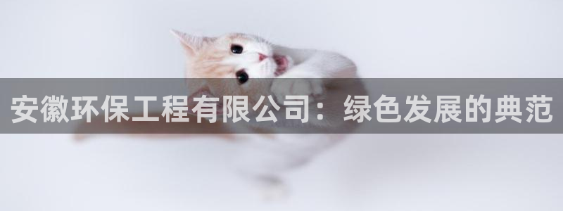 彩名堂预测网站：安徽环保工程有限公司：绿色发展的典范