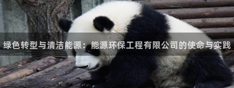 彩名堂为啥不准了乱变：绿色转型与清洁能源：能源环保工程有限公