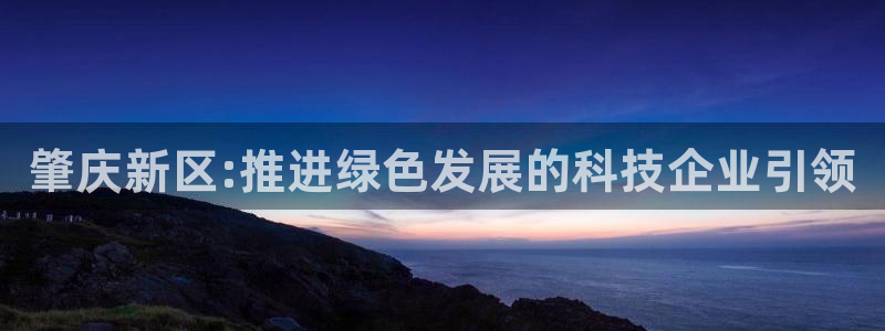 彩名堂计划怎么跟不挂：肇庆新区:推进绿色发展的科技企业引领