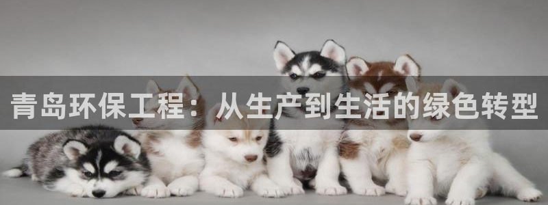 彩名堂为什么用不了了：青岛环保工程：