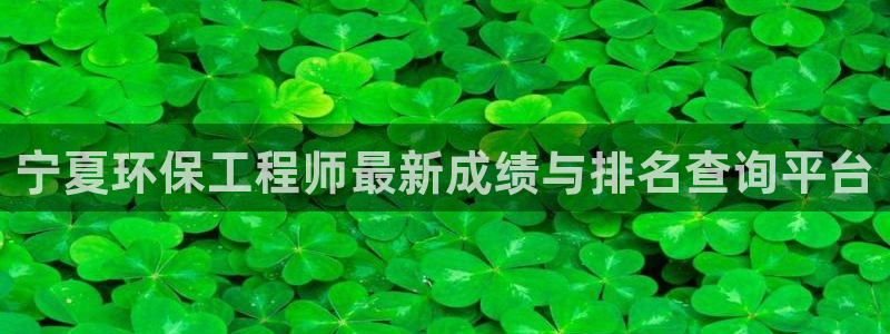 彩名堂旧版本：宁夏环保工程师最新成绩
