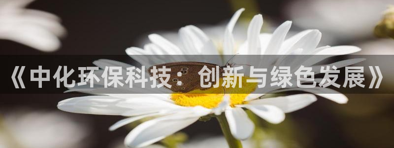 彩名堂怎么跟计划才不连挂呢：《中化环