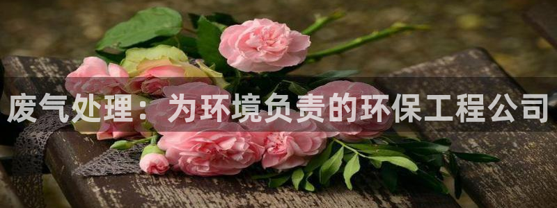 彩名堂使用方法：废气处理：为环境负责