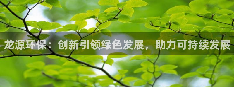 彩名堂移动客户端怎么下载：龙源环保：创新引领绿色发展，助力可