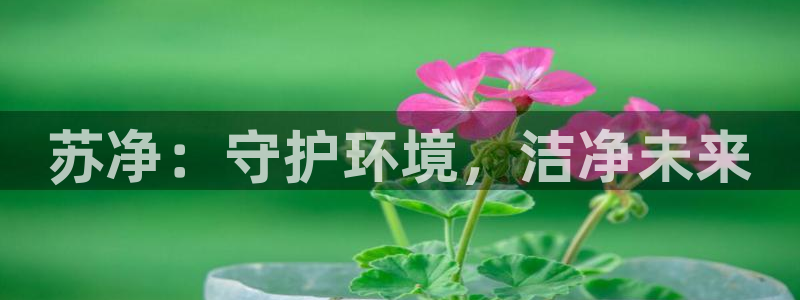 彩名堂在线下载：苏净：守护环境，洁净未来