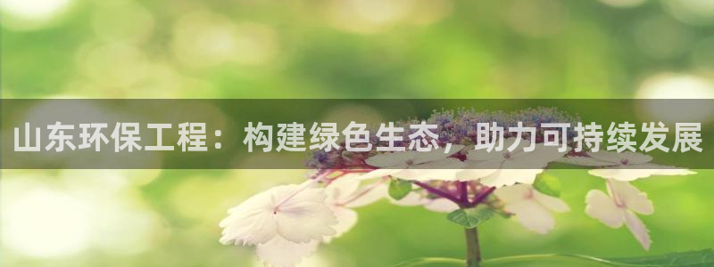 彩名堂怎么不能用了：山东环保工程：构建绿色生态，助力可持续发