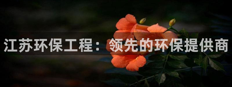 彩名堂免费计划官网怎么进不去了呢：江苏环保工程：领先的环保提