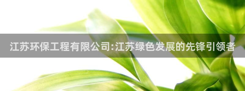 彩名堂官网计划01：江苏环保工程有限