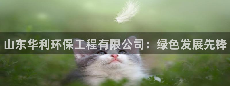 彩名堂安卓客户端官网下载安装：山东华