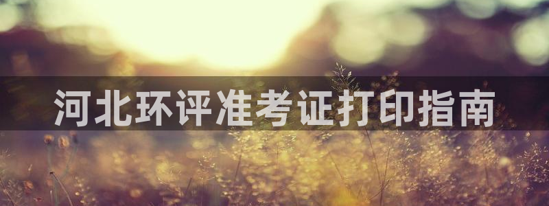 彩名堂加拿大怎么买准确率高：河北环评