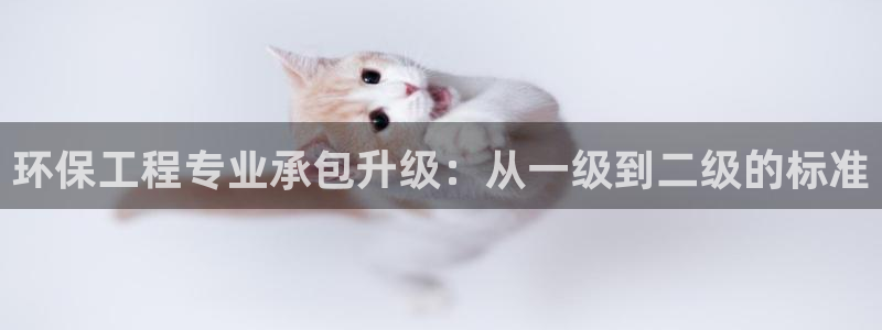 彩名堂官网谁有：环保工程专业承包升级：从一级到二级的标准