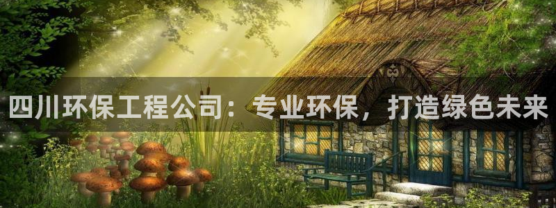 彩名堂手机版官网：四川环保工程公司：