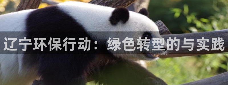 彩名堂客户端是永久免费吗安全吗：辽宁