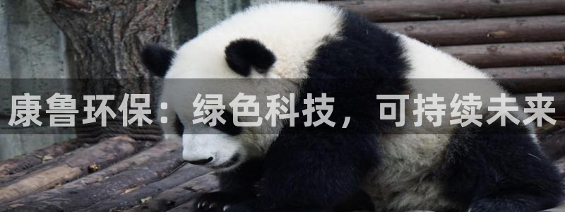 彩名堂是正规的公司吗：康鲁环保：绿色