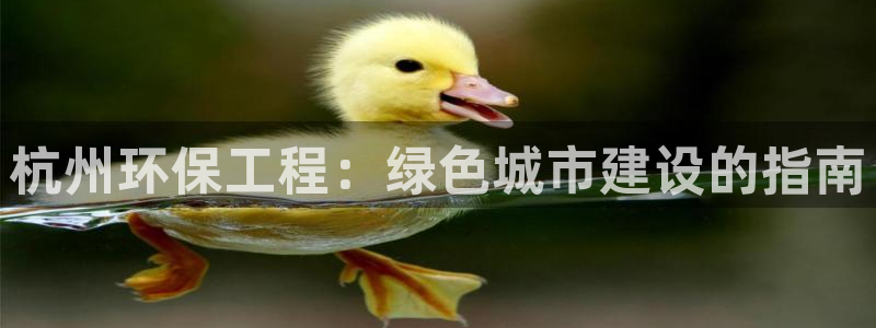 彩名堂计划官方客服：杭州环保工程：绿色城市建设的指南