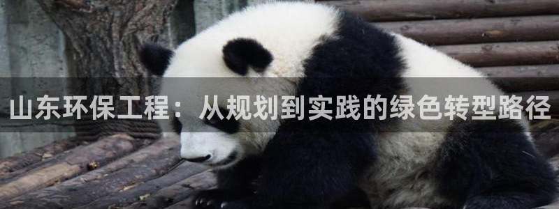 彩名堂计划app新版：山东环保工程：