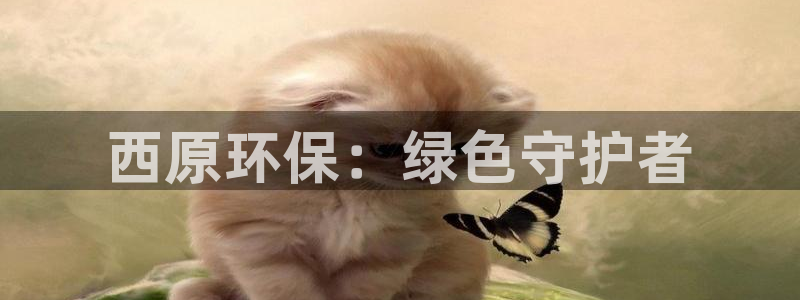 彩名堂怎么选稳定计划：西原环保：绿色
